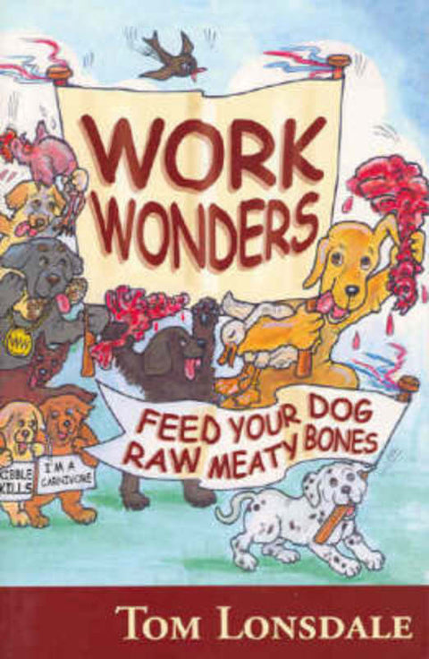 Work Wonders by Dr Tom Lonsdale - 9780975717400