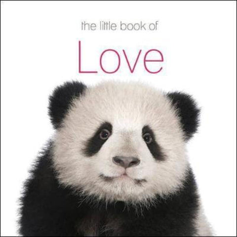 The Little Book of Love by The Next Big Think - 9780980764987