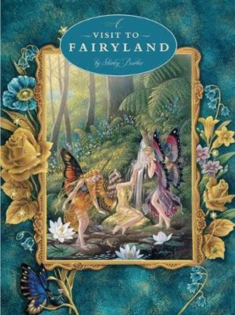A Visit to Fairyland by Shirley Barber - 9780994263483