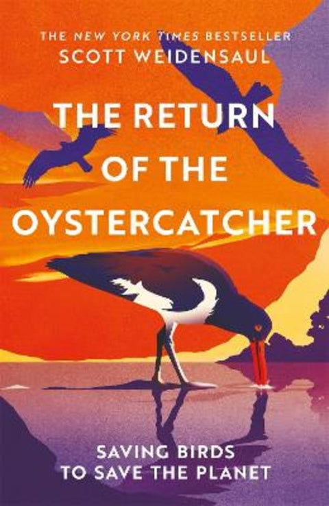 The Return of the Oystercatcher by Scott Weidensaul - 9781035016518