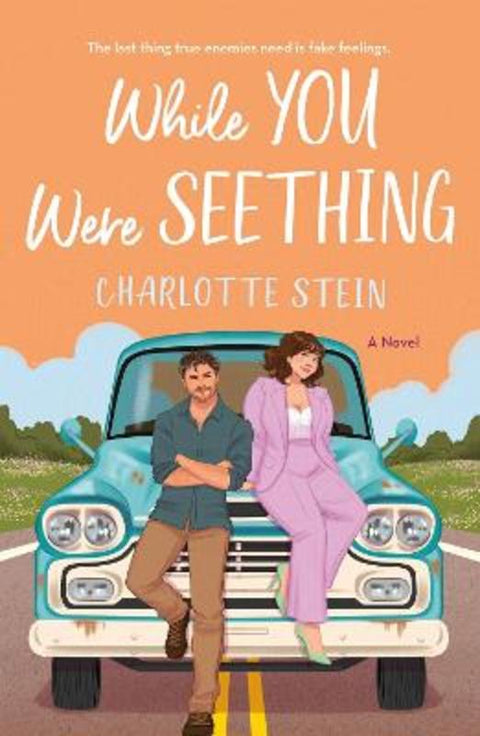 While You Were Seething by Charlotte Stein - 9781035038190