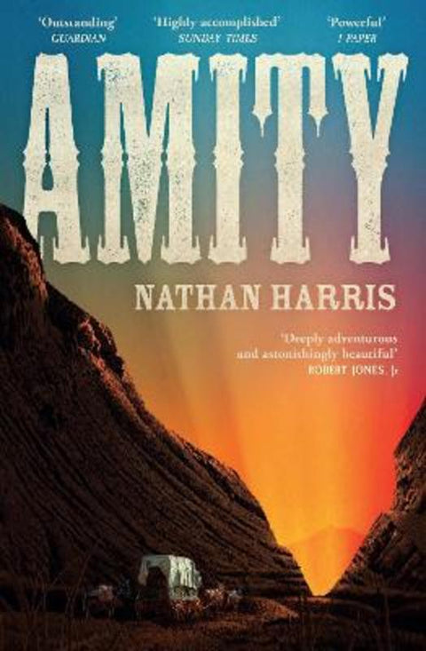 Amity by Nathan Harris - 9781035404698