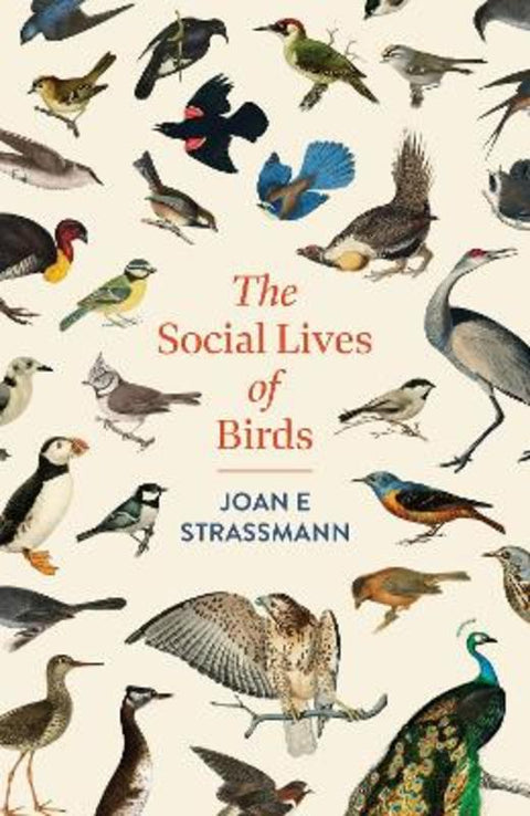 The Social Lives of Birds by Joan E. Strassmann - 9781035417148