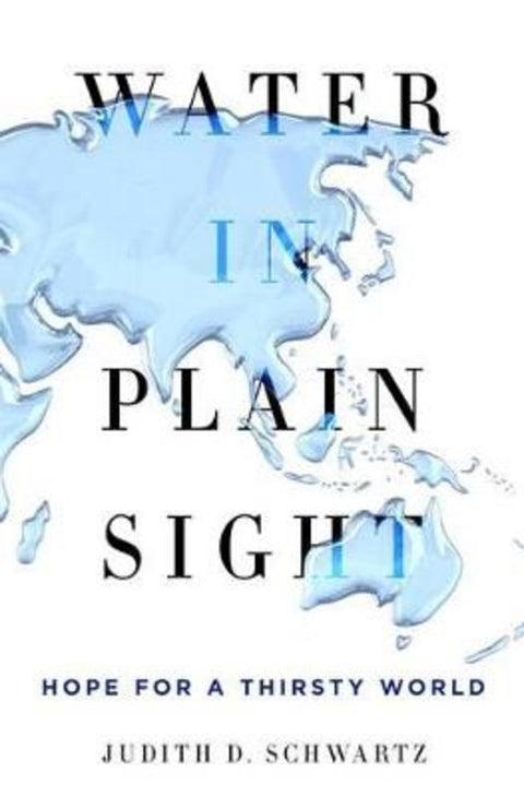 Water in Plain Sight by Judith D Schwartz - 9781250069917