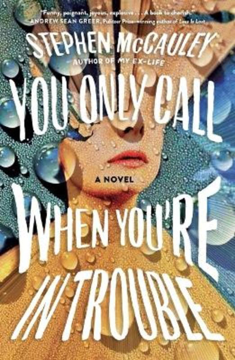 You Only Call When You're in Trouble by Stephen McCauley - 9781250296818