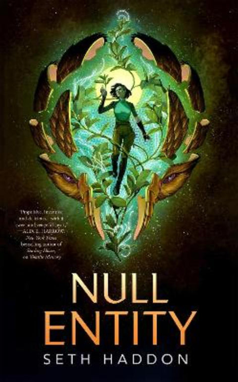 Null Entity by Seth Haddon - 9781250476555