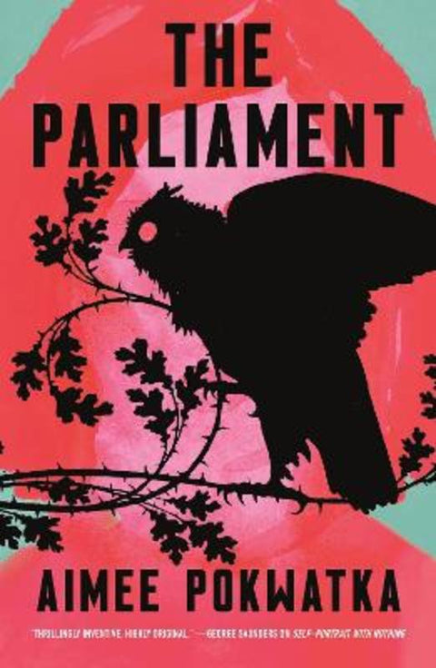 The Parliament by Aimee Pokwatka - 9781250820990