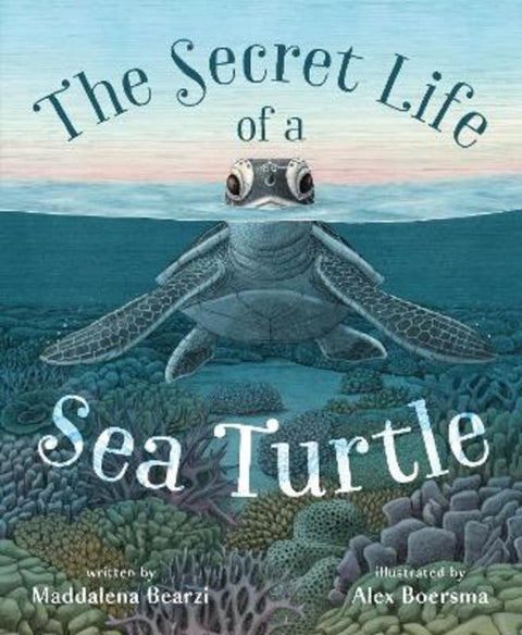 The Secret Life of a Sea Turtle from Maddalena Bearzi - Harry Hartog gift idea