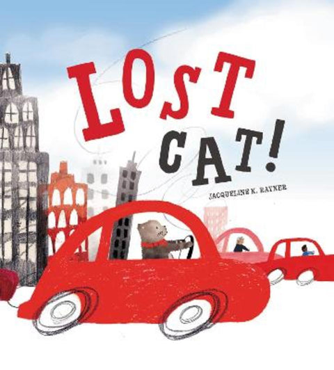 Lost Cat! from Jacqueline K. Rayner - Harry Hartog gift idea