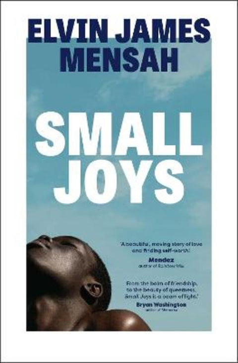 Small Joys by Elvin James Mensah - 9781398514911