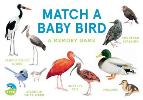 Match a Baby Bird from RSPB - Harry Hartog gift idea