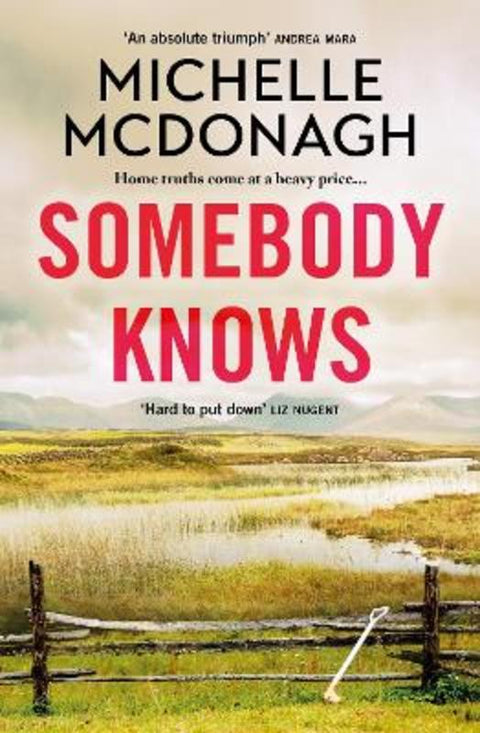 Somebody Knows by Michelle McDonagh - 9781399716482