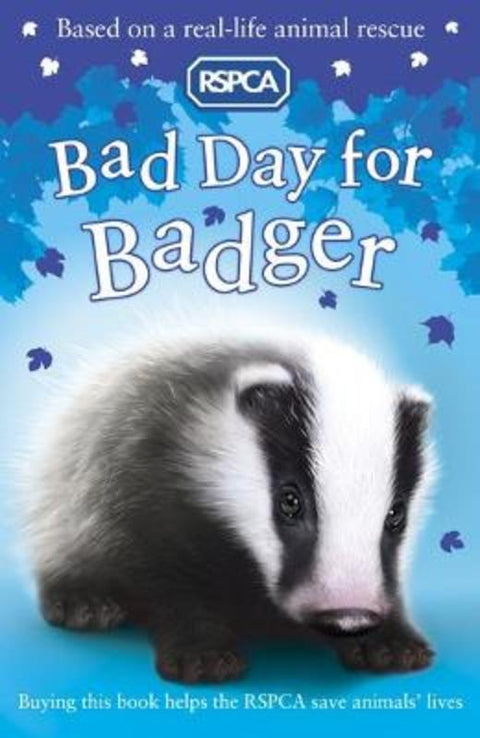 Bad Day for Badger by Sarah Hawkins - 9781407139661