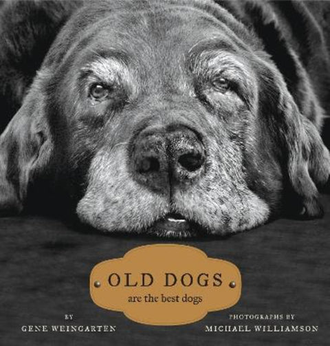 Old Dogs by Michael S. Williamson - 9781416534990