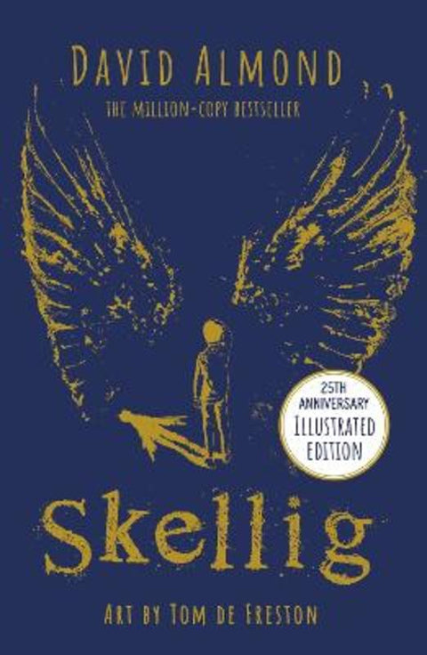 Skellig: the 25th anniversary illustrated edition by David Almond - 9781444967784