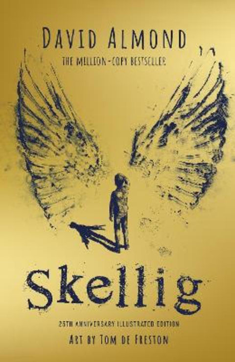 Skellig: the 25th anniversary illustrated edition by David Almond - 9781444972283
