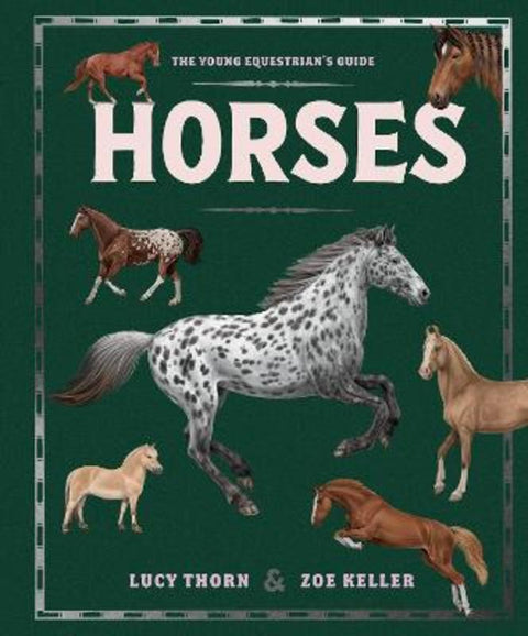 Horses by Lucy Thorn - 9781444981247