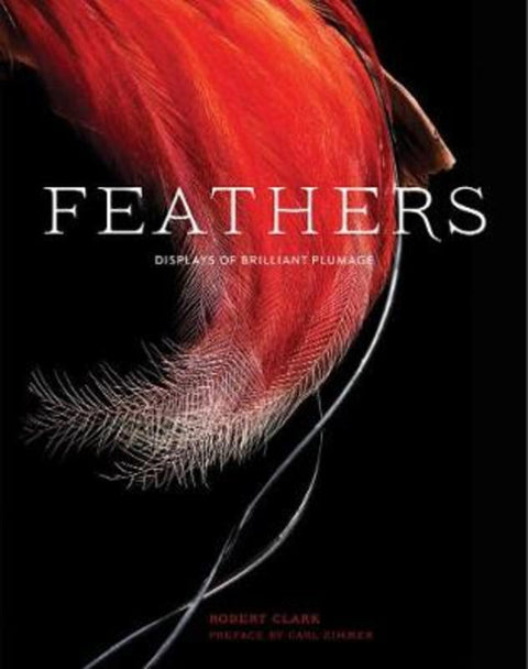 Feathers by Robert Clark - 9781452139890