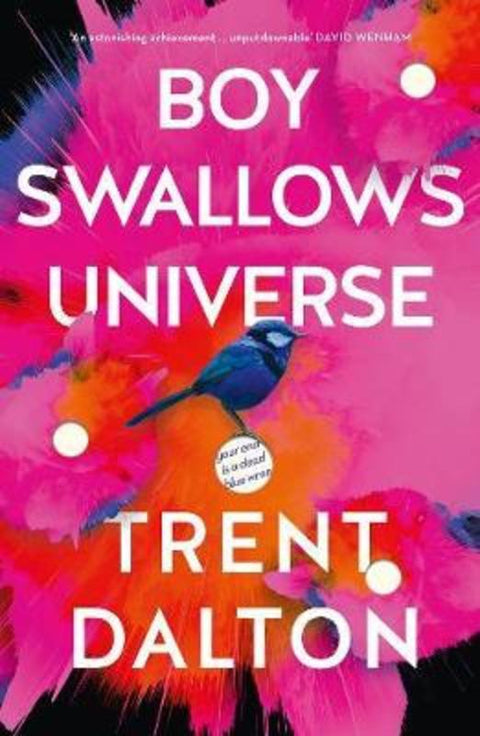 Boy Swallows Universe by Trent Dalton - 9781460753897