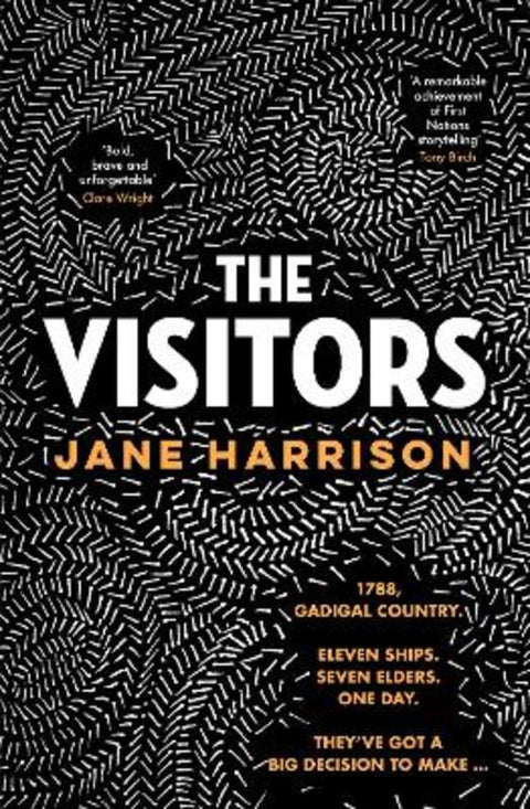 The Visitors: The remarkable debut novel from an award-winning author and playwright, for readers of Melissa Lucashenko, Shankari Chandran and Tara by Jane Harrison - 9781460761984