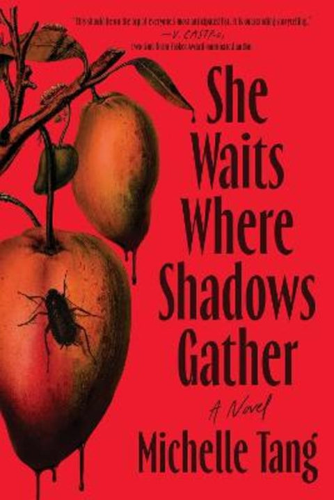 She Waits Where Shadows Gather by Michelle Tang - 9781464251047