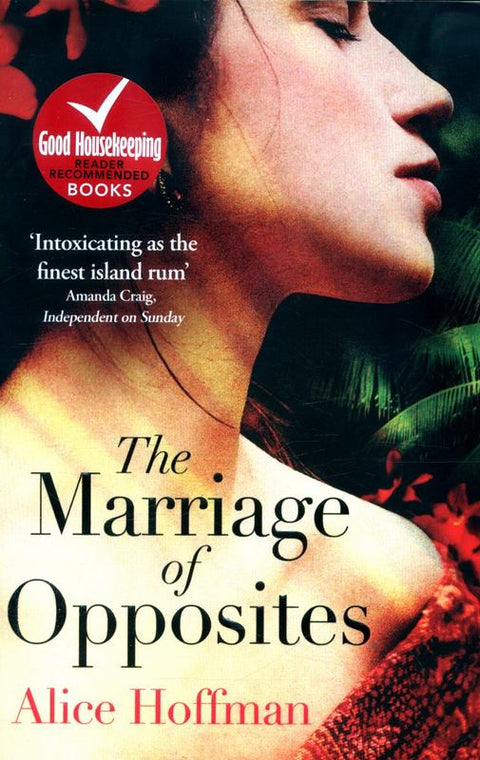 The Marriage of Opposites by Alice Hoffman - 9781471112119
