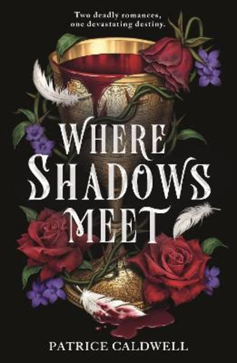 Where Shadows Meet by Patrice Caldwell - 9781471411861