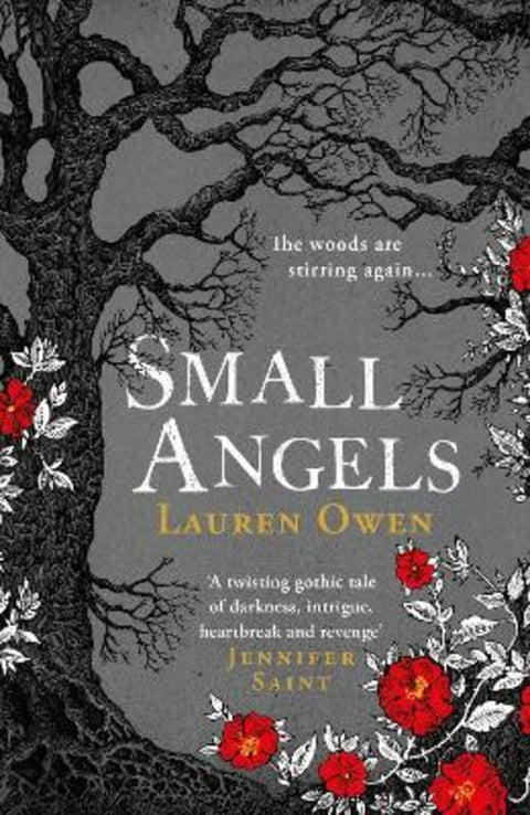 Small Angels by Lauren Owen - 9781472280237