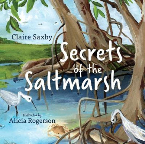 Secrets of the Saltmarsh from Claire Saxby - Harry Hartog gift idea