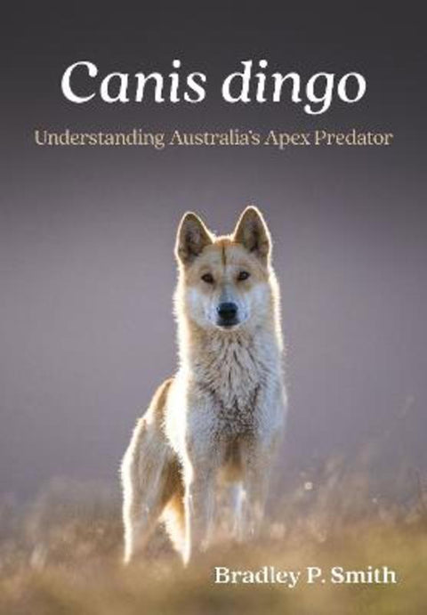 Canis dingo by Bradley P. Smith - 9781486318483