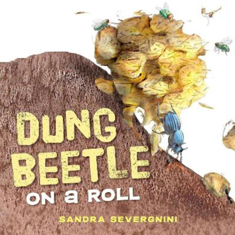 Dung Beetle on a Roll from Sandra Severgnini - Harry Hartog gift idea