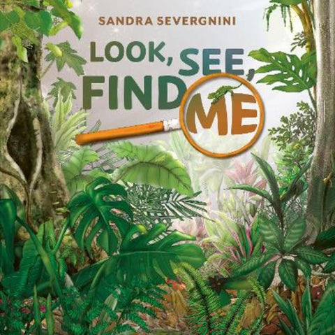 Look, See, Find Me from Sandra Severgnini - Harry Hartog gift idea