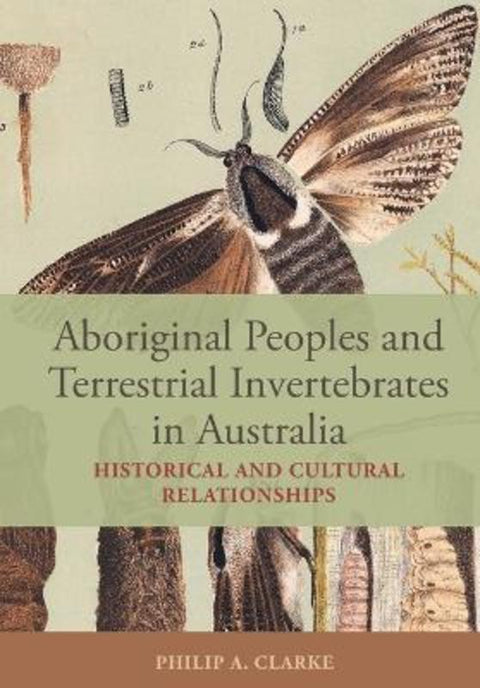 Aboriginal Peoples and Terrestrial Invertebrates in Australia by Philip A. Clarke - 9781486320431