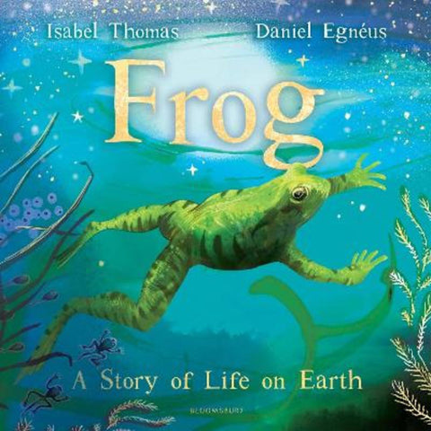 Frog from Daniel Egneus - Harry Hartog gift idea