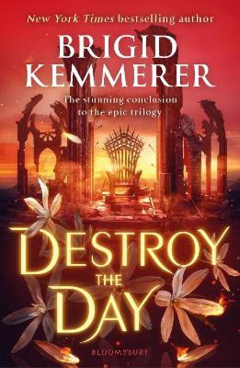 Destroy the Day by Brigid Kemmerer - 9781526664181
