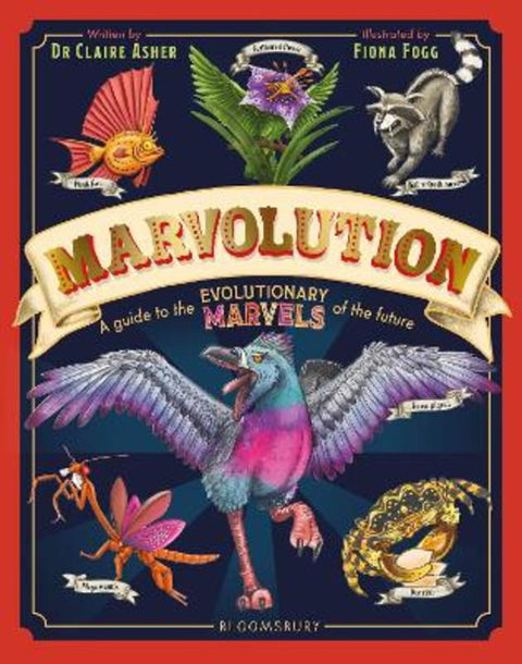 Marvolution from Dr Claire Asher - Harry Hartog gift idea