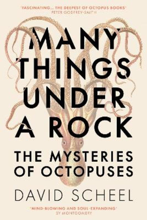 Many Things Under a Rock by David Scheel - 9781529392616