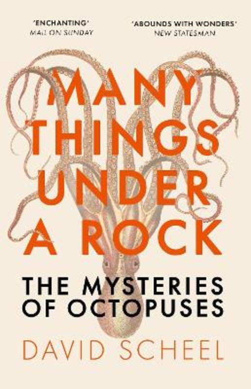 Many Things Under a Rock by David Scheel - 9781529392647