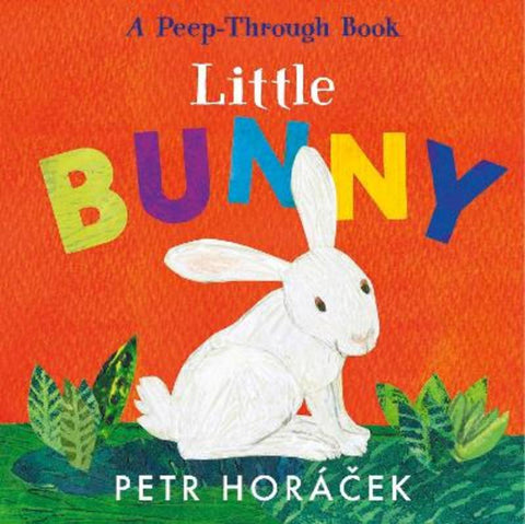 Little Bunny by Petr Horacek - 9781529517354