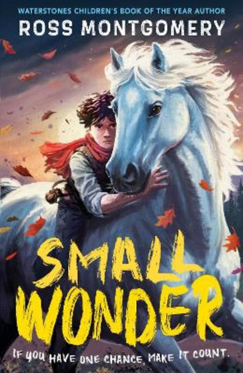 Small Wonder by Ross Montgomery - 9781529526127