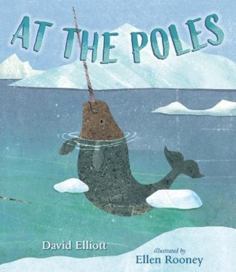 At the Poles from David Elliott - Harry Hartog gift idea