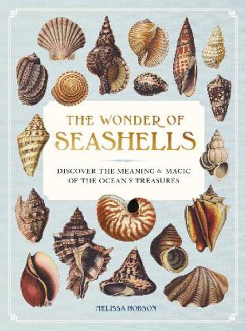 The Wonder of Seashells by Melissa Hobson - 9781577155126