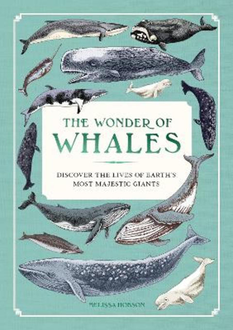The Wonder of Whales by Melissa Hobson - 9781577159155