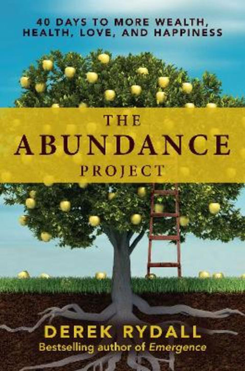The Abundance Project by Derek Rydall - 9781582706535