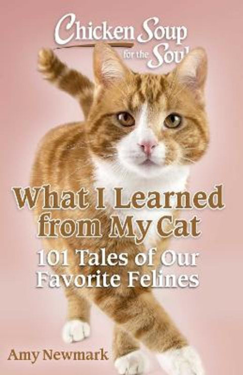 Chicken Soup for the Soul: What I Learned from My Cat by Amy Newmark - 9781611591217