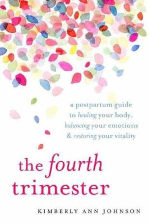 The Fourth Trimester by Kimberly Ann Johnson - 9781611804003