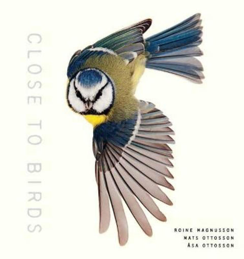 Close to Birds by Roine Magnusson - 9781611807103