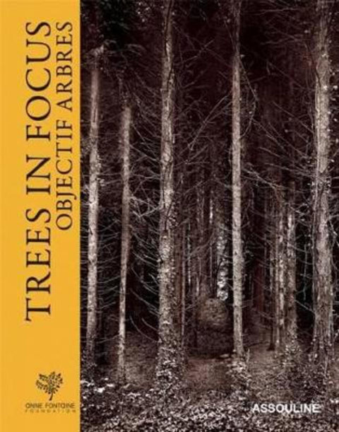Trees in Focus by Marina Silva - 9781614281092