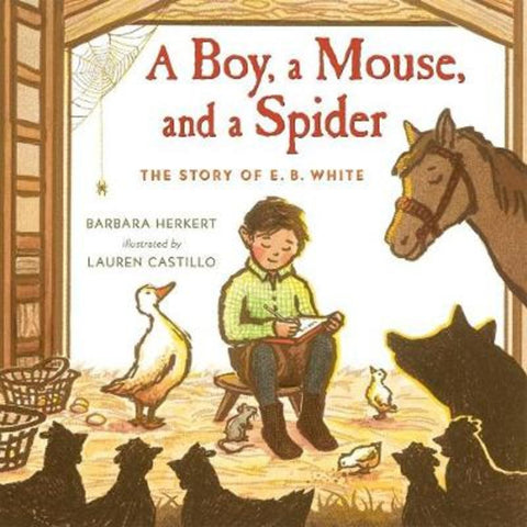 A Boy, a Mouse, and a Spider by Barbara Herkert - 9781627792455