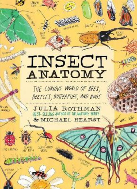 Insect Anatomy by Julia Rothman - 9781635868784